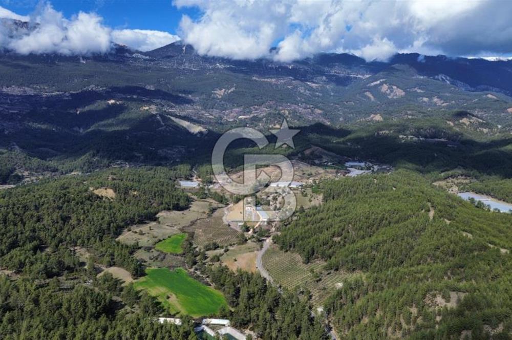 CB ARDEN EMLAK'TAN ANTALYA KAŞ SATILIK 18700 M2 TARLA