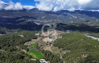 CB ARDEN EMLAK'TAN ANTALYA KAŞ SATILIK 18700 M2 TARLA