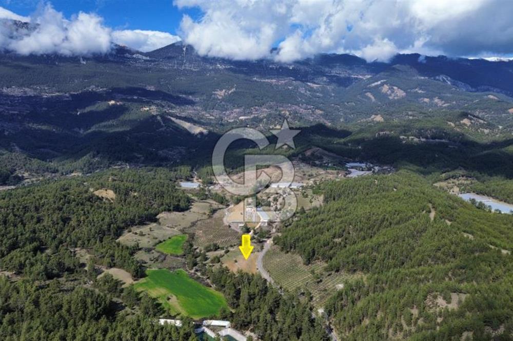 CB ARDEN EMLAK'TAN ANTALYA KAŞ SATILIK 18700 M2 TARLA