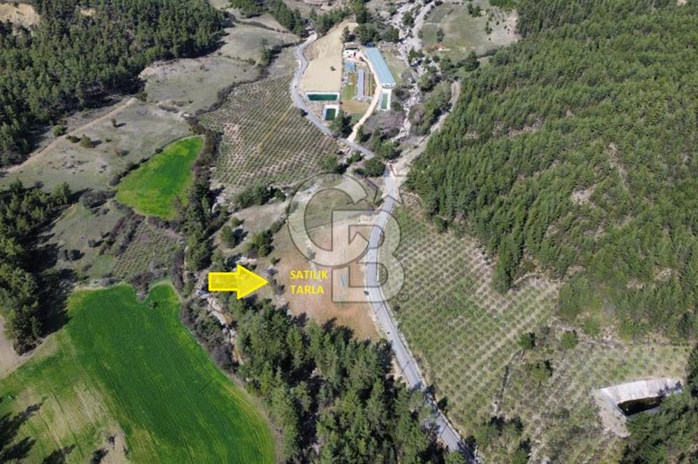 CB ARDEN EMLAK'TAN ANTALYA KAŞ SATILIK 18700 M2 TARLA