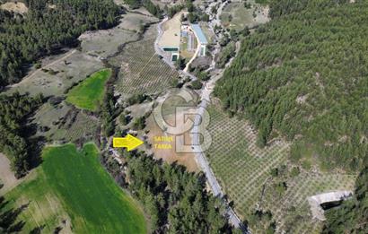 CB ARDEN EMLAK'TAN ANTALYA KAŞ SATILIK 18700 M2 TARLA