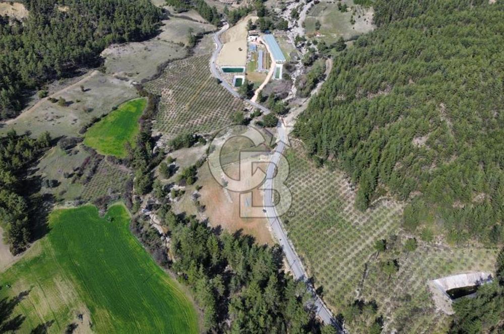 CB ARDEN EMLAK'TAN ANTALYA KAŞ SATILIK 18700 M2 TARLA