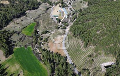CB ARDEN EMLAK'TAN ANTALYA KAŞ SATILIK 18700 M2 TARLA