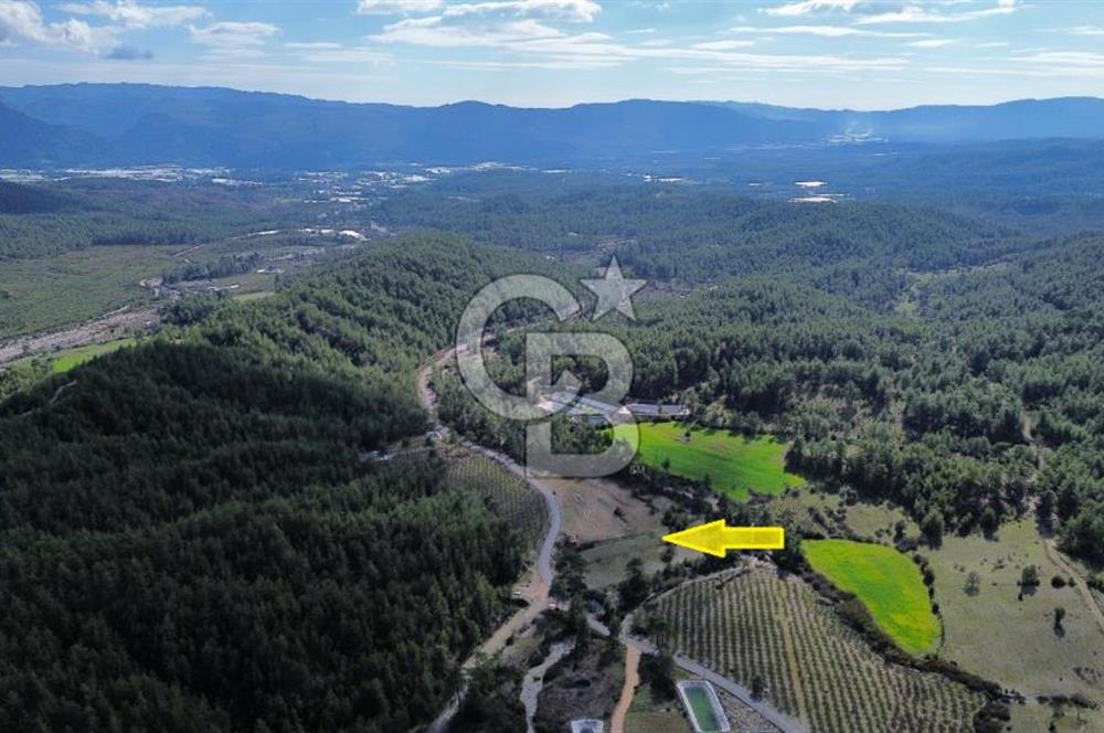 CB ARDEN EMLAK'TAN ANTALYA KAŞ SATILIK 18700 M2 TARLA