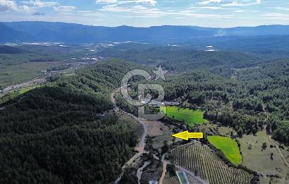 CB ARDEN EMLAK'TAN ANTALYA KAŞ SATILIK 18700 M2 TARLA