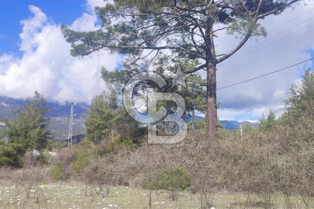 CB ARDEN EMLAK'TAN ANTALYA KAŞ SATILIK 18700 M2 TARLA