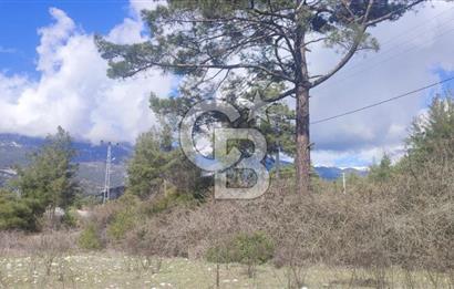 CB ARDEN EMLAK'TAN ANTALYA KAŞ SATILIK 18700 M2 TARLA