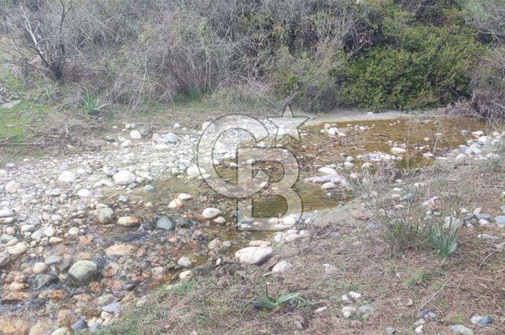 CB ARDEN EMLAK'TAN ANTALYA KAŞ SATILIK 18700 M2 TARLA