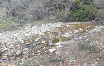 CB ARDEN EMLAK'TAN ANTALYA KAŞ SATILIK 18700 M2 TARLA