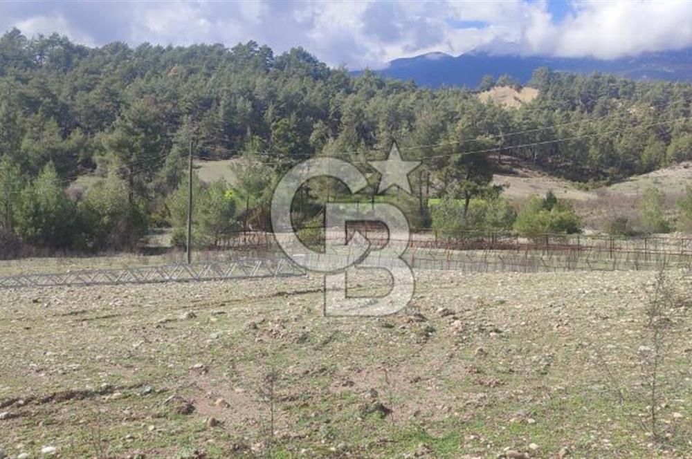 CB ARDEN EMLAK'TAN ANTALYA KAŞ SATILIK 18700 M2 TARLA