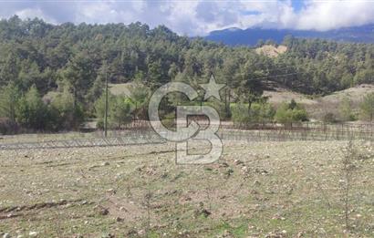 CB ARDEN EMLAK'TAN ANTALYA KAŞ SATILIK 18700 M2 TARLA