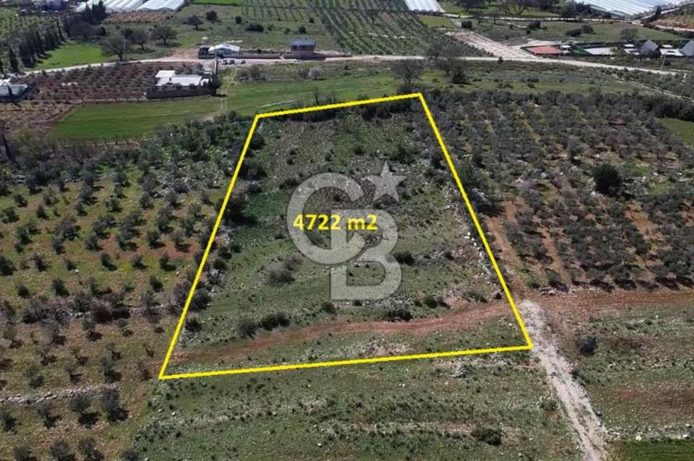 CB ARDEN ELMAK'TAN ANTALYA KAŞ SAHİL PALAMUT'TA SATILIK TARLA