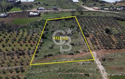CB ARDEN ELMAK'TAN ANTALYA KAŞ SAHİL PALAMUT'TA SATILIK TARLA