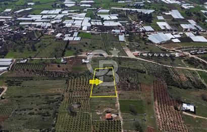 CB ARDEN ELMAK'TAN ANTALYA KAŞ SAHİL PALAMUT'TA SATILIK TARLA