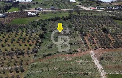 CB ARDEN ELMAK'TAN ANTALYA KAŞ SAHİL PALAMUT'TA SATILIK TARLA