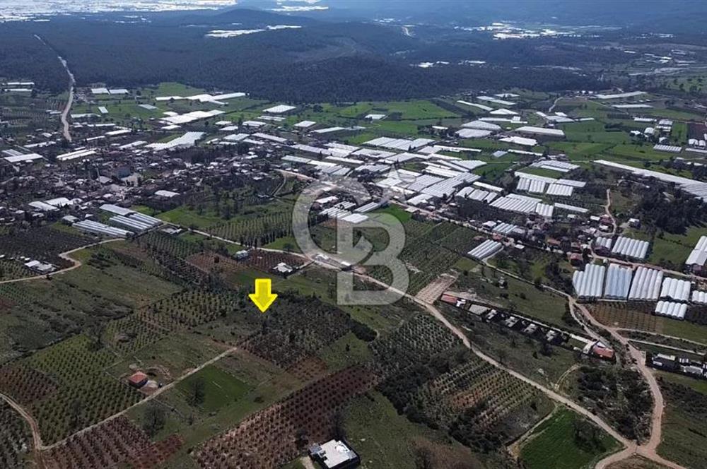 CB ARDEN ELMAK'TAN ANTALYA KAŞ SAHİL PALAMUT'TA SATILIK TARLA