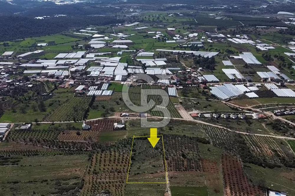 CB ARDEN ELMAK'TAN ANTALYA KAŞ SAHİL PALAMUT'TA SATILIK TARLA