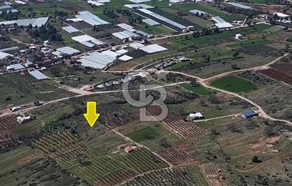 CB ARDEN ELMAK'TAN ANTALYA KAŞ SAHİL PALAMUT'TA SATILIK TARLA
