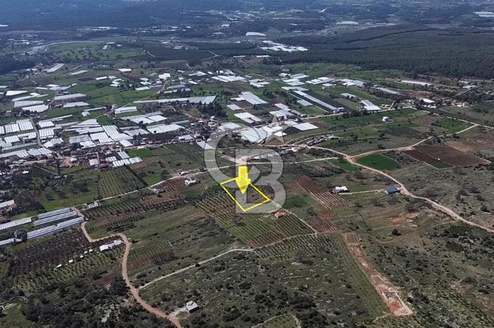 CB ARDEN ELMAK'TAN ANTALYA KAŞ SAHİL PALAMUT'TA SATILIK TARLA