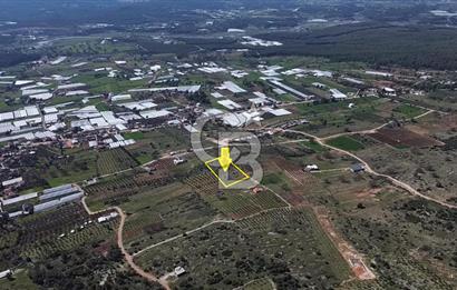 CB ARDEN ELMAK'TAN ANTALYA KAŞ SAHİL PALAMUT'TA SATILIK TARLA