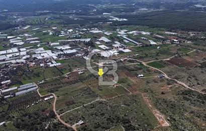 CB ARDEN ELMAK'TAN ANTALYA KAŞ SAHİL PALAMUT'TA SATILIK TARLA