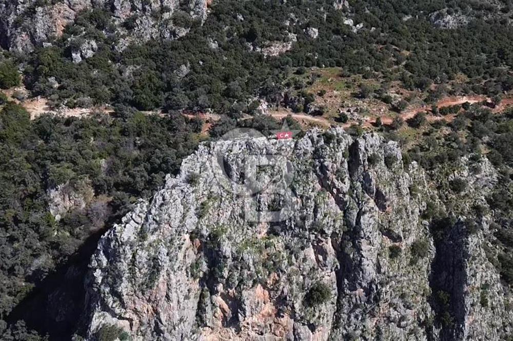 CB ARDEN ELMAK'TAN ANTALYA KAŞ SAHİL PALAMUT'TA SATILIK TARLA