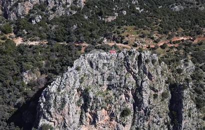 CB ARDEN ELMAK'TAN ANTALYA KAŞ SAHİL PALAMUT'TA SATILIK TARLA