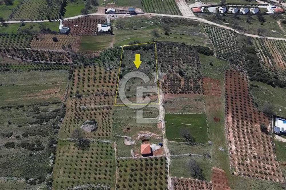 CB ARDEN ELMAK'TAN ANTALYA KAŞ SAHİL PALAMUT'TA SATILIK TARLA