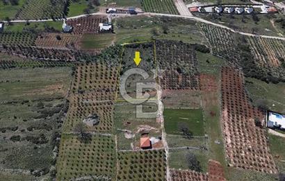 CB ARDEN ELMAK'TAN ANTALYA KAŞ SAHİL PALAMUT'TA SATILIK TARLA