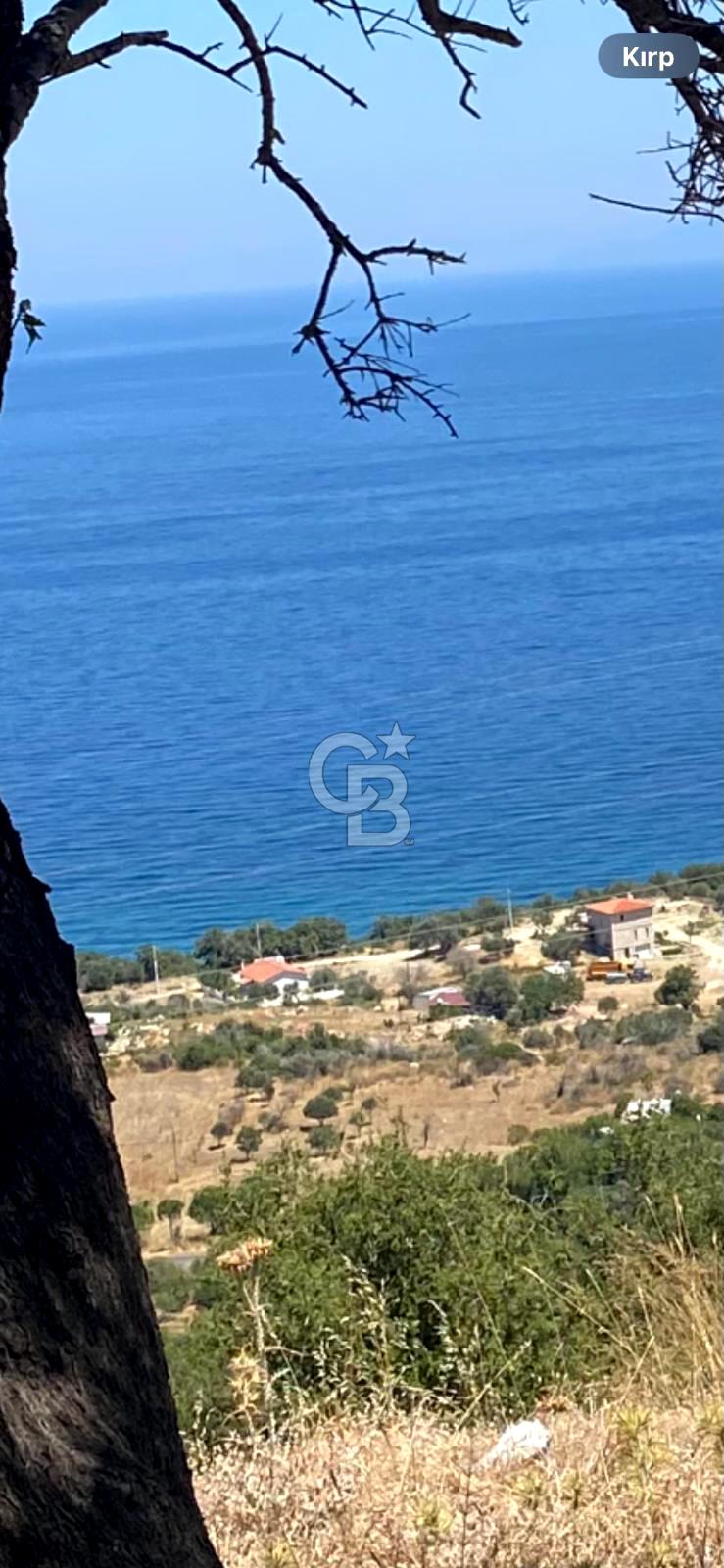 Satılık Villa Arsası