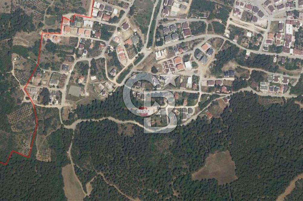 CB CLASS NİLÜFER/ ÇALI SATILIK VİLLA İMARLI ARSA