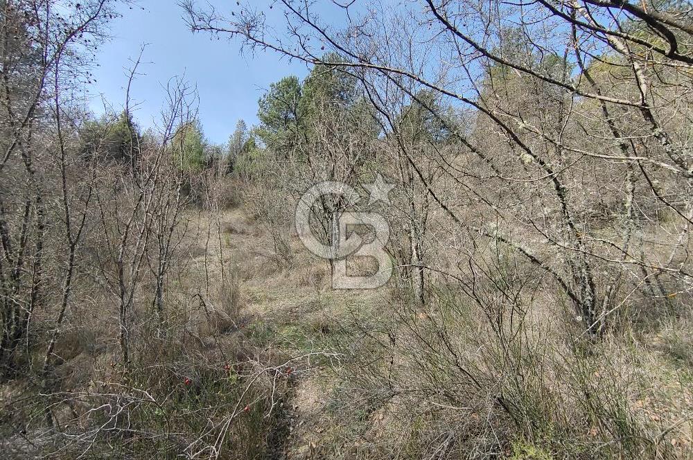BURSA KELES KIRANIŞIKLAR 689 METREKARE SATILIK TARLA