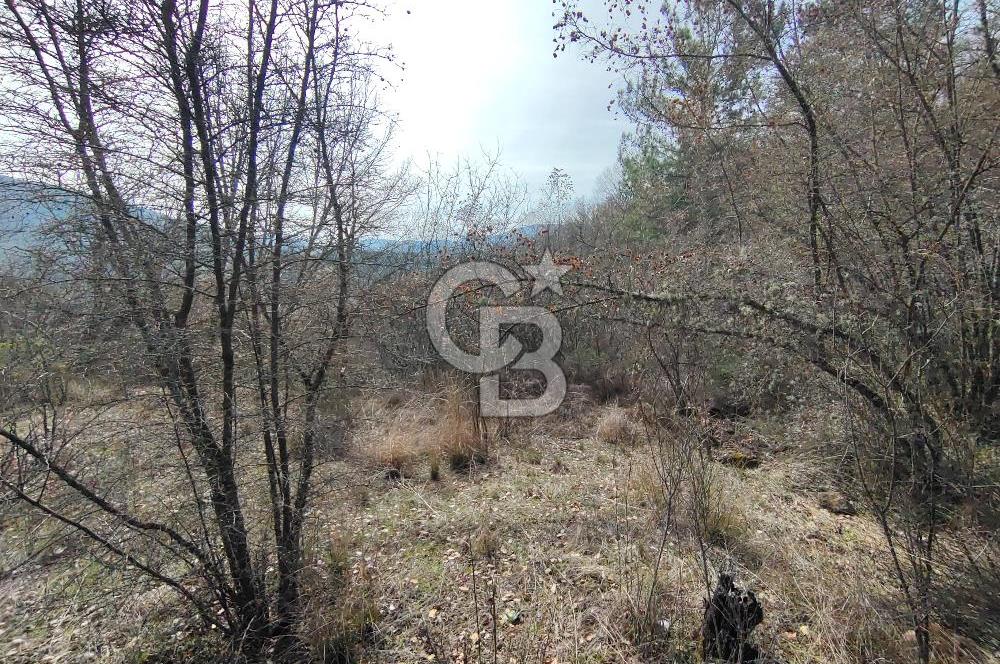 BURSA KELES KIRANIŞIKLAR 689 METREKARE SATILIK TARLA