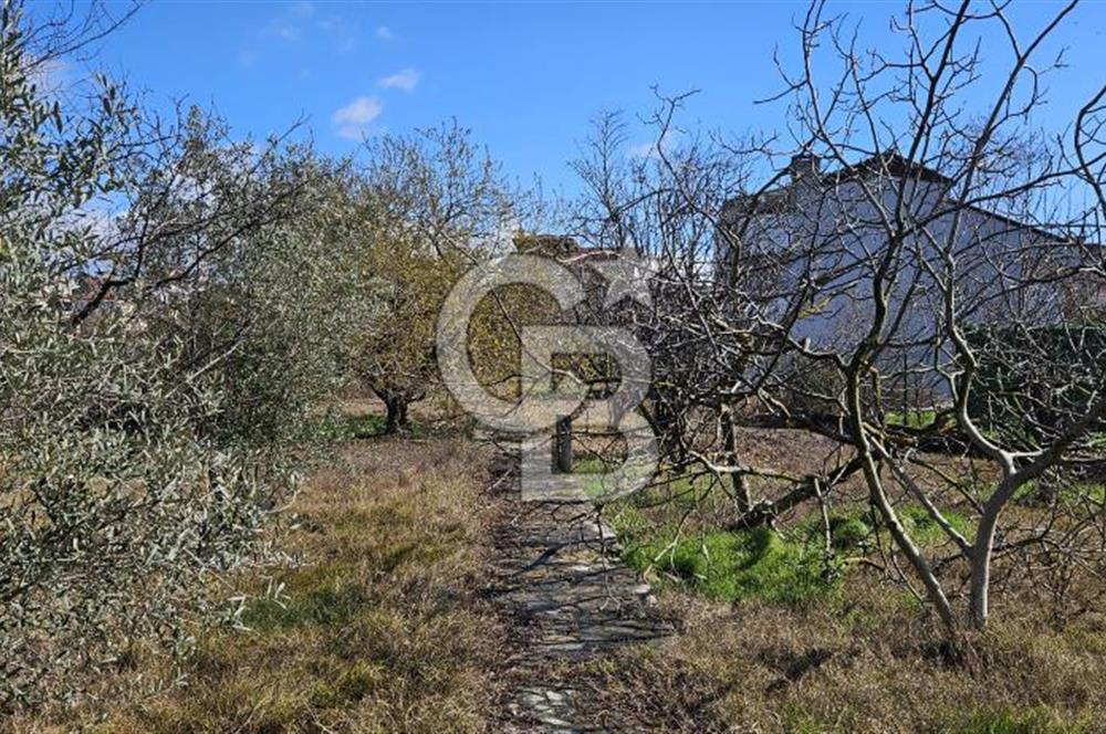 YALOVA ÇINARCIK KORUDA FIRSAT MÜSTAKİL VİLLA!