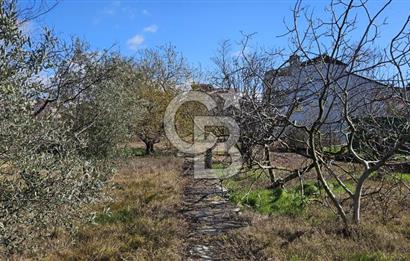 YALOVA ÇINARCIK KORUDA FIRSAT MÜSTAKİL VİLLA!
