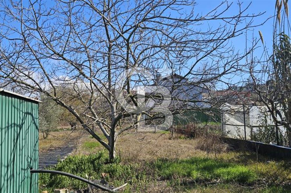 YALOVA ÇINARCIK KORUDA FIRSAT MÜSTAKİL VİLLA!