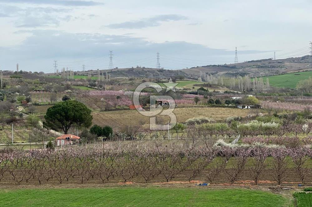  ÇANAKKALE LAPSEKİ'DE BOĞAZ VE DOĞA MANZARALI LÜKS DUBLEKS DAİRE 