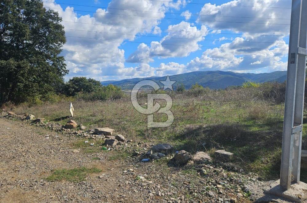 YALOVA MERKEZ KAZİMİYEDE DENİZ MANZARALI 594 M2 SATILIK ARSA!