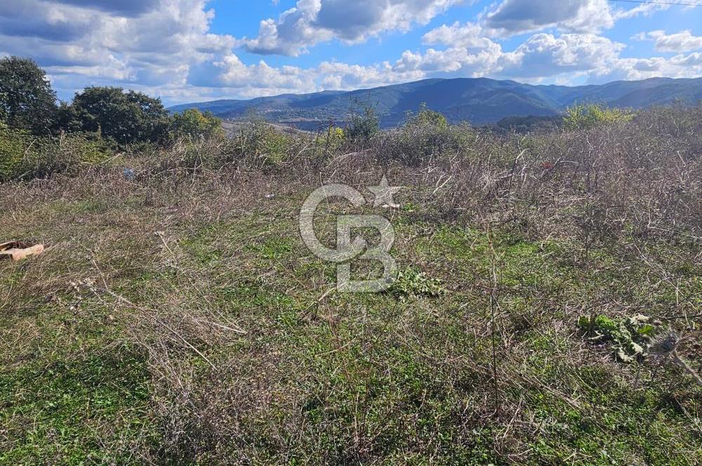 YALOVA MERKEZ KAZİMİYEDE DENİZ MANZARALI 594 M2 SATILIK ARSA!