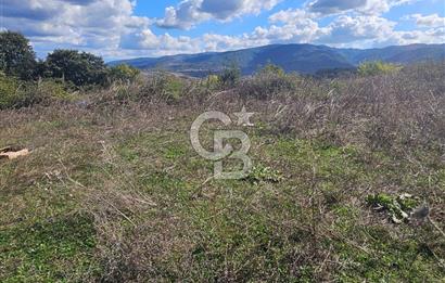 YALOVA MERKEZ KAZİMİYEDE DENİZ MANZARALI 594 M2 SATILIK ARSA!