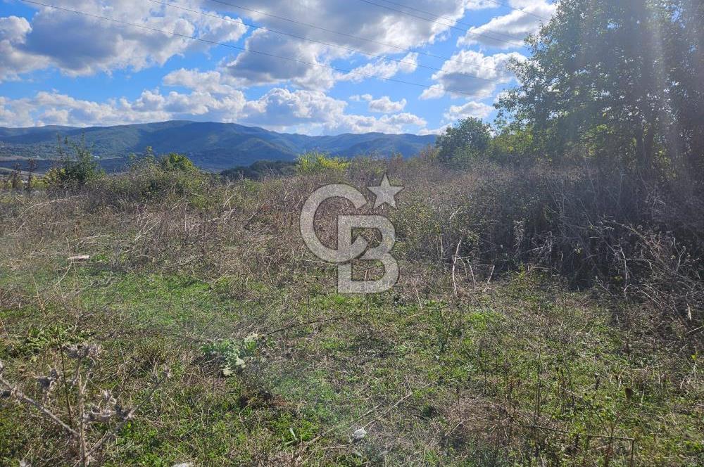 YALOVA MERKEZ KAZİMİYEDE DENİZ MANZARALI 594 M2 SATILIK ARSA!