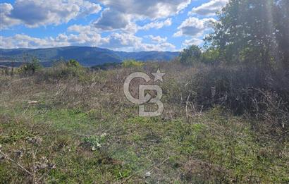 YALOVA MERKEZ KAZİMİYEDE DENİZ MANZARALI 594 M2 SATILIK ARSA!