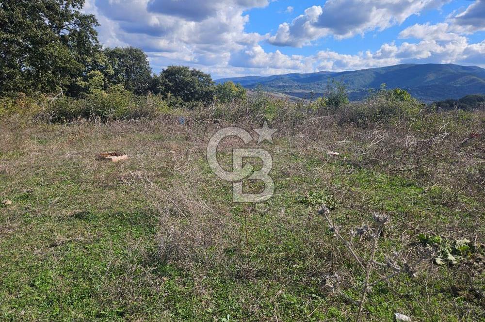 YALOVA MERKEZ KAZİMİYEDE DENİZ MANZARALI 594 M2 SATILIK ARSA!