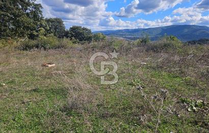 YALOVA MERKEZ KAZİMİYEDE DENİZ MANZARALI 594 M2 SATILIK ARSA!