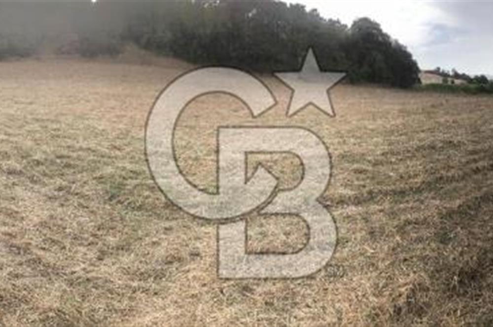CB KiNG'DEN BALIKESİR MANYAS DURA MAH.ASFALT CEPHE SATILIK TARLA