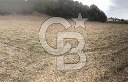 CB KiNG'DEN BALIKESİR MANYAS DURA MAH.ASFALT CEPHE SATILIK TARLA