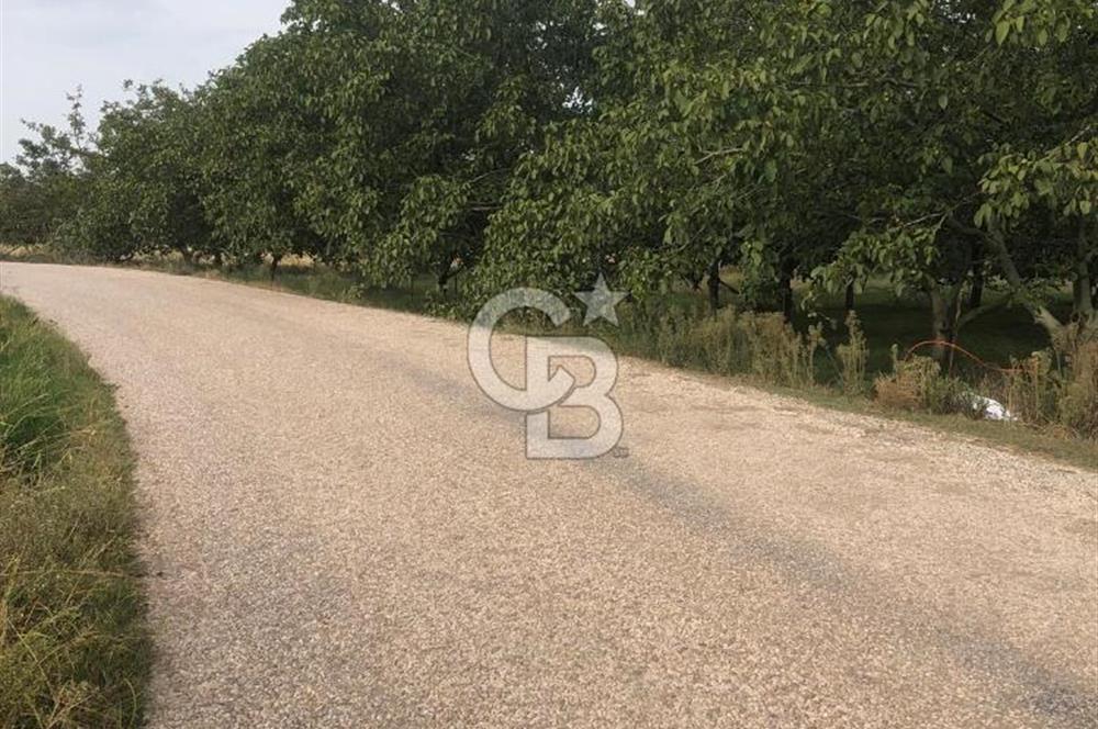 CB KiNG'DEN BALIKESİR MANYAS DURA MAH.ASFALT CEPHE SATILIK TARLA