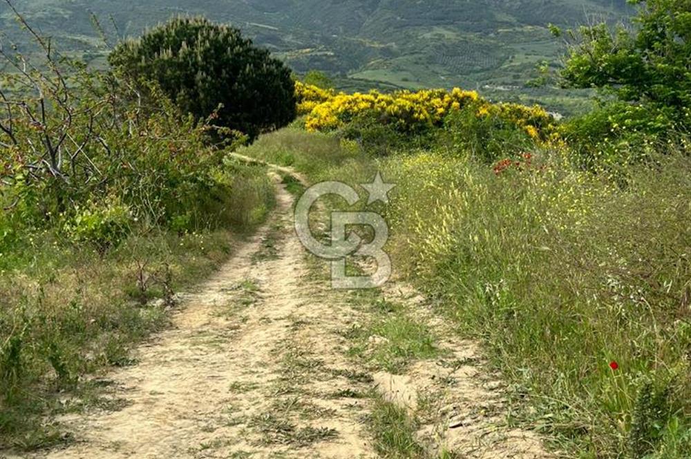 Tekirdağ Şarköy'de 9524 m2 Deniz Manzaralı Arazi