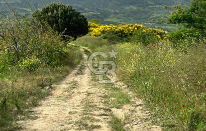 Tekirdağ Şarköy'de 9524 m2 Deniz Manzaralı Arazi