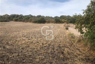 CB KiNG'DEN MANYAS SÜLEYMANLI MAH'DE SATILIK 7022 M2 TARLA